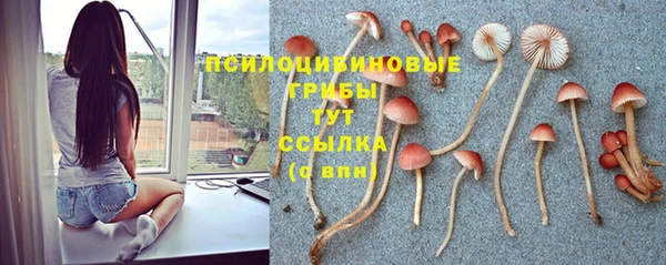 скорость Верея