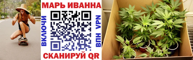 хочу наркоту  Гатчина  Бошки марихуана Ganja 